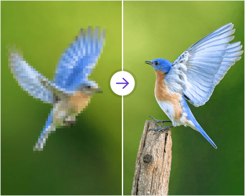 Upscale hover